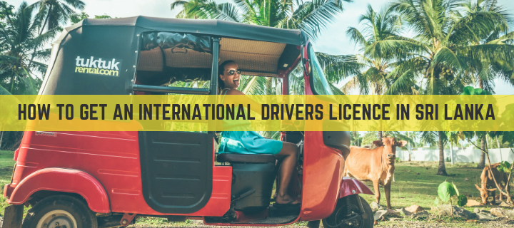 sri lanka driving permit international licence